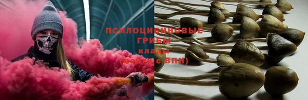 гашик Абаза