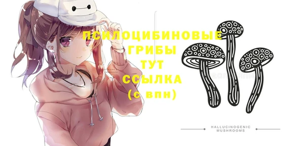 гашик Абаза
