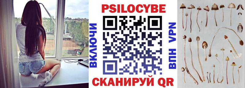 Галлюциногенные грибы мицелий  наркота  Александровск 